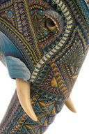 Elephant Head I 2025