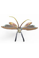 Butterfly 2020