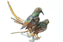 Love Bird