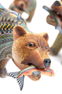 Jon Stuart Anderson Grizzly Bear Family