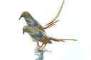 Love Bird