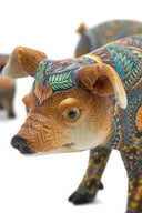 Jon Stuart Anderson Pig