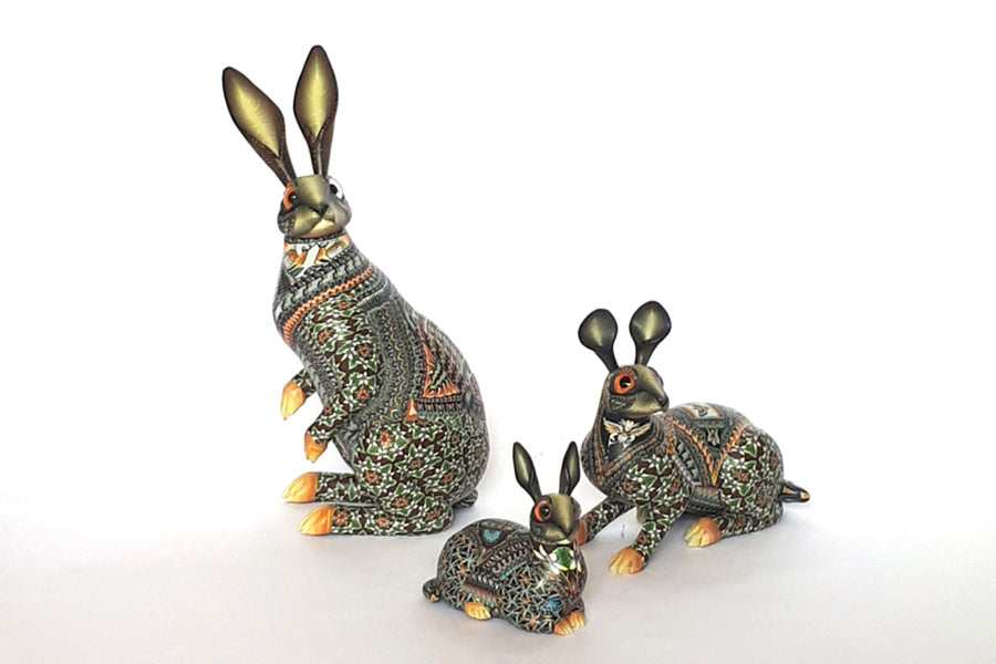Rabbits – JSA Studio