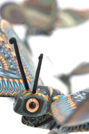 Jon Stuart Anderson Butterfly Family