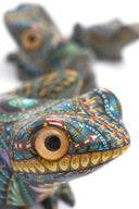 Jon Stuart Anderson Frog