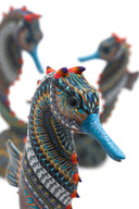 Jon Stuart Anderson Sea Horse Family